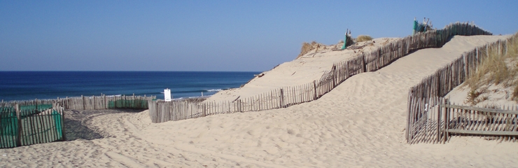 Contact les calicobas - plage hourtin médoc gironde